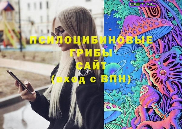 шишки Алексин