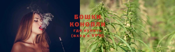 героин Пересвет