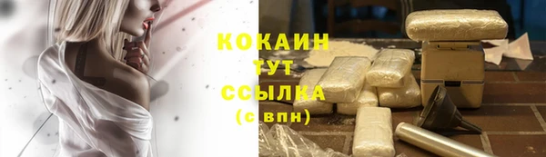 шишки Алексин