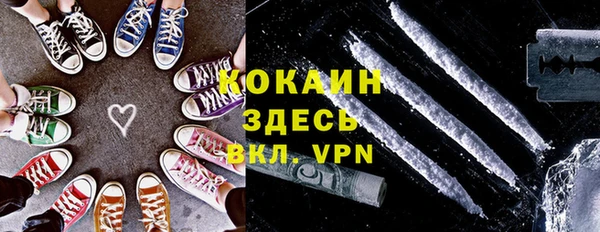 шишки Алексин