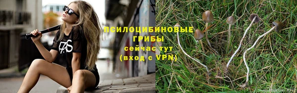 мет Алзамай