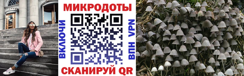 Псилоцибиновые грибы GOLDEN TEACHER  MEGA ONION  Санкт-Петербург  хочу  