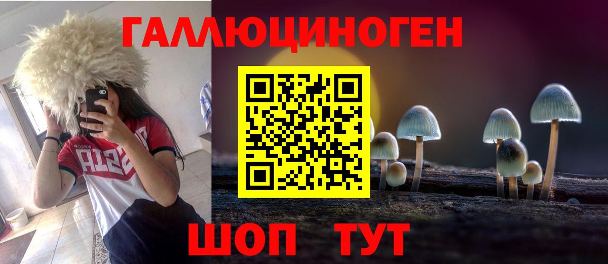 Санкт-Петербург  Псилоцибиновые грибы прущие грибы  Вход с VPN 